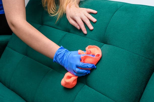 Couch Cleaning
